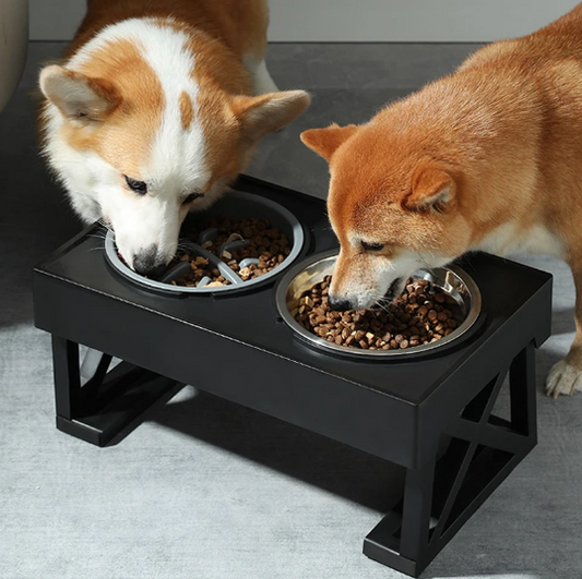 Adjustable Dog Double Bowls Stand